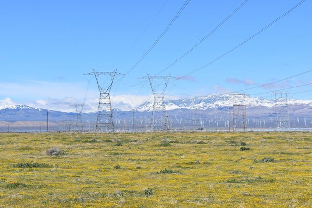 135th St W & Ave D4, Antelope Acres, CA 93536