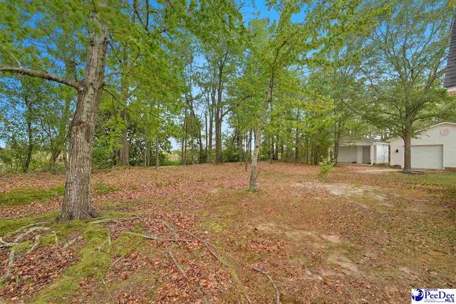 2662 Flushing Covey Drive, Hartsville, SC 29550