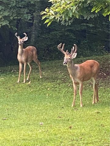 249 Trolly Ln, Mahoning Twp, PA 16116