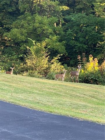 249 Trolly Ln, Mahoning Twp, PA 16116