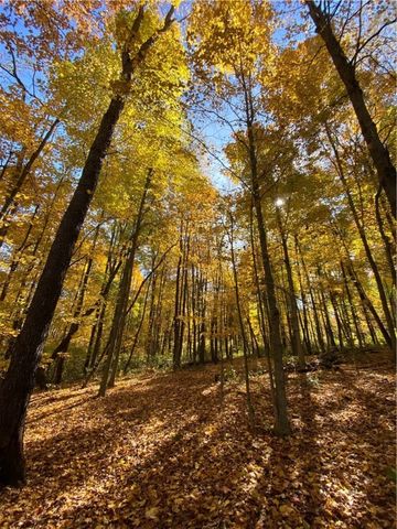 249 Trolly Ln, Mahoning Twp, PA 16116