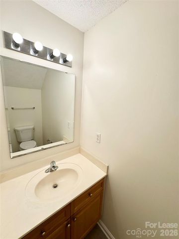 3734 Melrose Cottage Drive, Charlotte, NC 28105