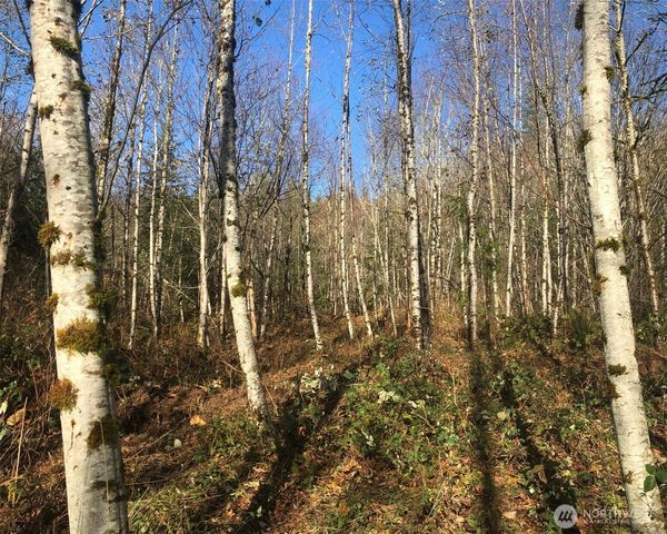 355 XX SE Courtney Road, Ravensdale, WA 98051