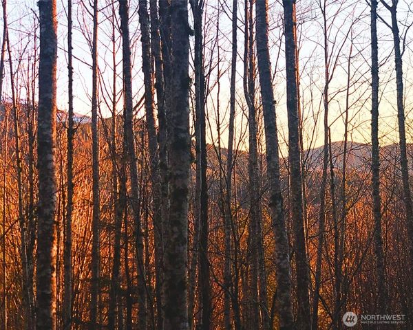 355 XX SE Courtney Road, Ravensdale, WA 98051