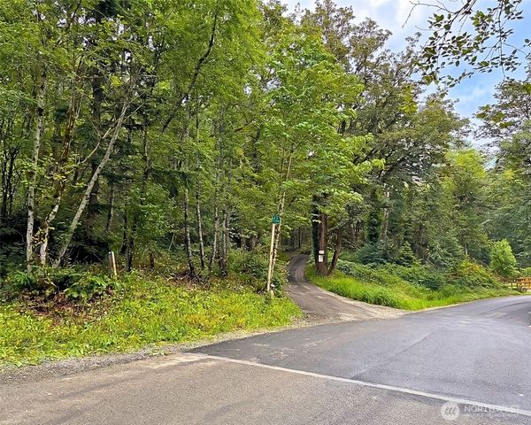 355 XX SE Courtney Road, Ravensdale, WA 98051