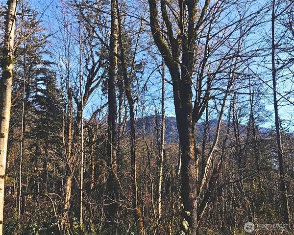 355 XX SE Courtney Road, Ravensdale, WA 98051