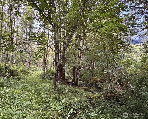 355 XX SE Courtney Road, Ravensdale, WA 98051