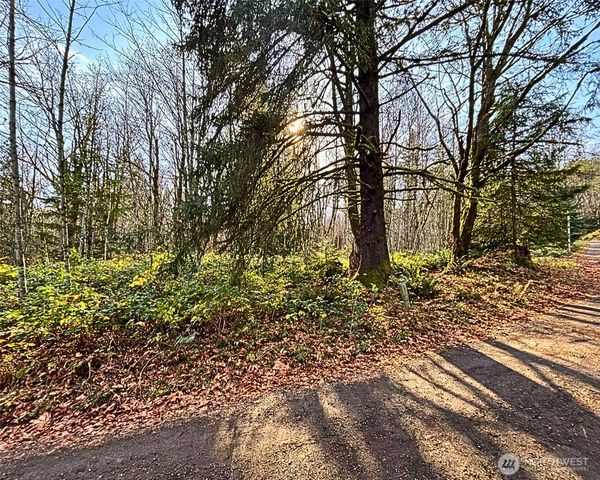 355 XX SE Courtney Road, Ravensdale, WA 98051