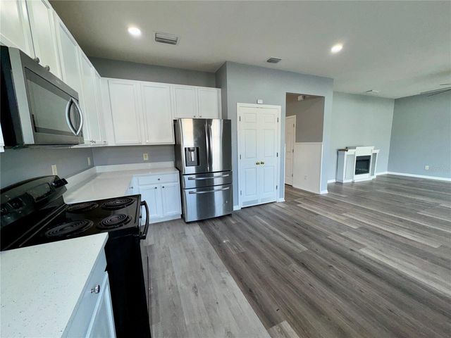 18403 FISH LOOP, Land O Lakes, FL 34638