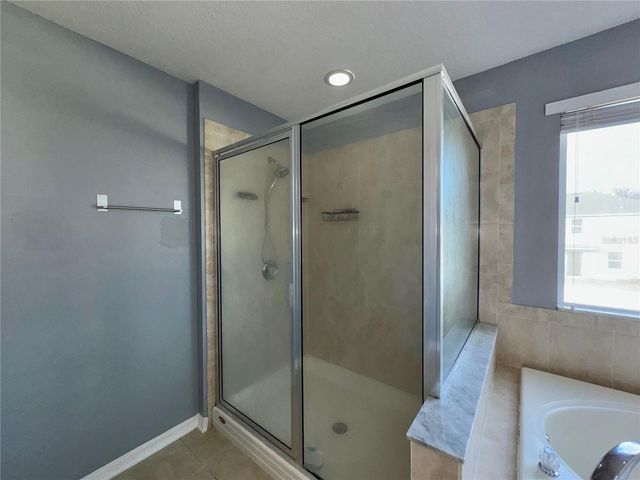 18403 FISH LOOP, Land O Lakes, FL 34638