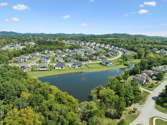 1005 Orchard Hill Ct, Arrington, TN 37014