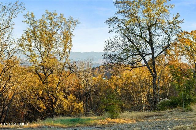 1353 Reedmont Way, Sevierville, TN 37876