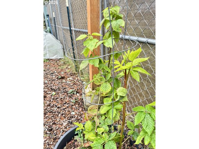 3760 HIGHWAY 101 1, Florence, OR 97439