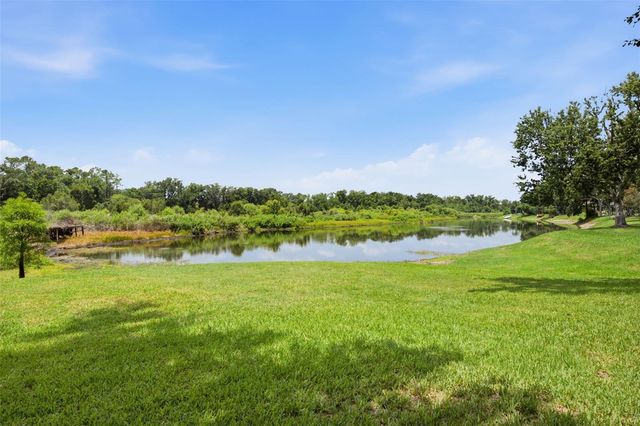 16416 WINDSOR PARK DRIVE, Lutz, FL 33549