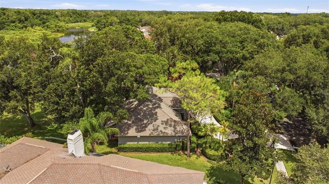 16416 WINDSOR PARK DRIVE, Lutz, FL 33549