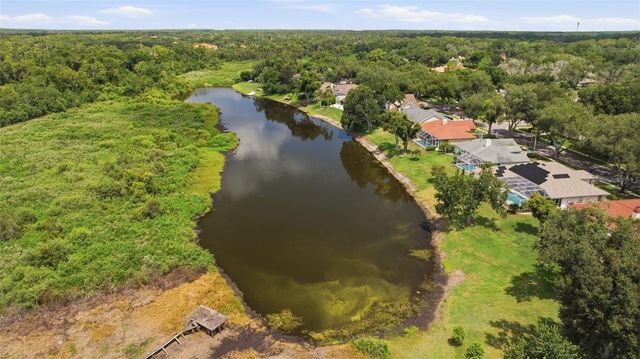 16416 WINDSOR PARK DRIVE, Lutz, FL 33549