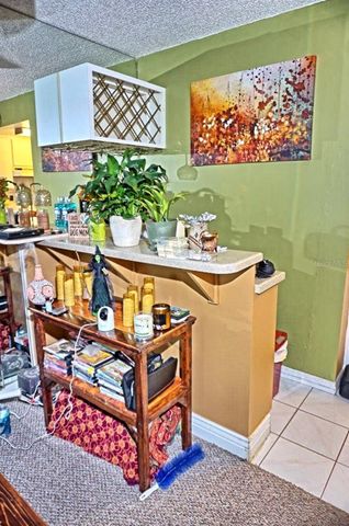 1865 MAZO MANOR J5, Lutz, FL 33558