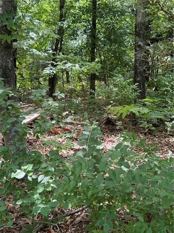 108 E Wolfdale Road, Farmington, AR 72730