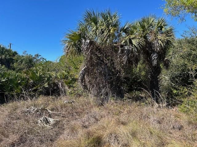 26455 & 26459 DEER ROAD, Punta Gorda, FL 33955