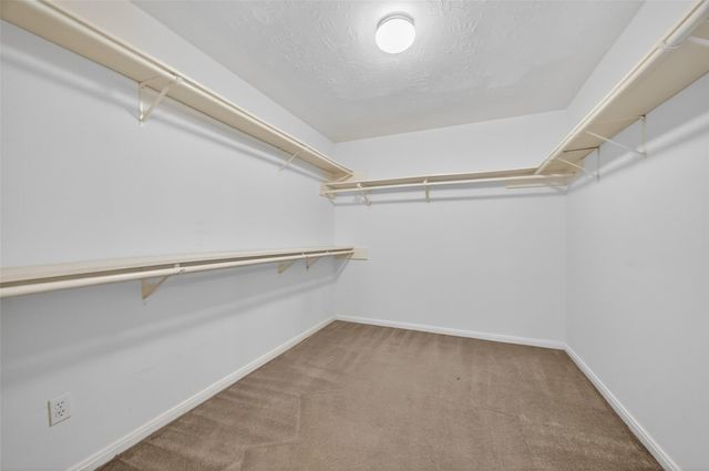 914 W Peach Hollow Circle, Pearland, TX 77584