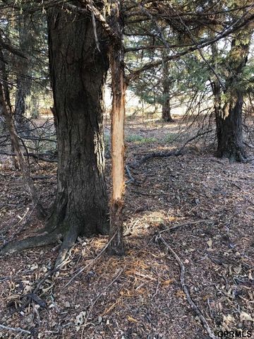 0001 D County Road, Palmyra, NE 68418