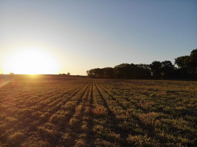 0001 D County Road, Palmyra, NE 68418