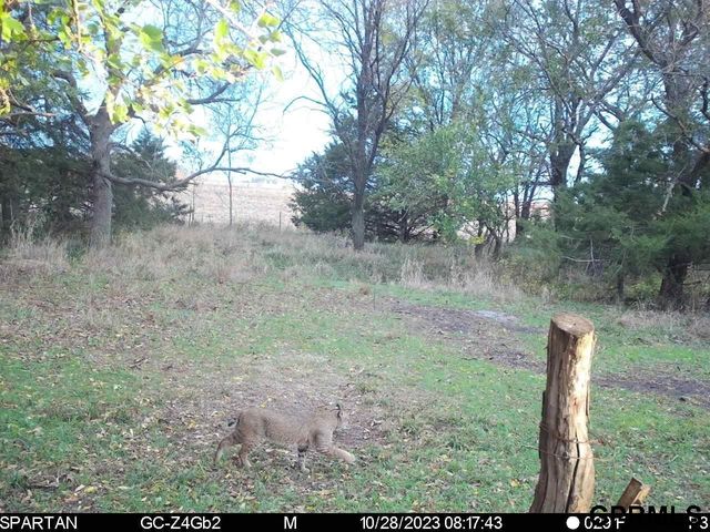 0001 D County Road, Palmyra, NE 68418