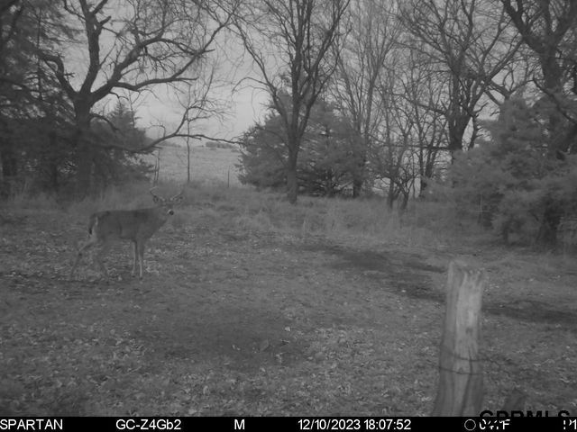 0001 D County Road, Palmyra, NE 68418