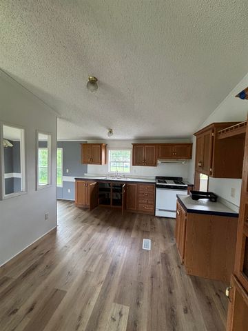5447 WILLOW Drive, Buel Twp, MI 48422