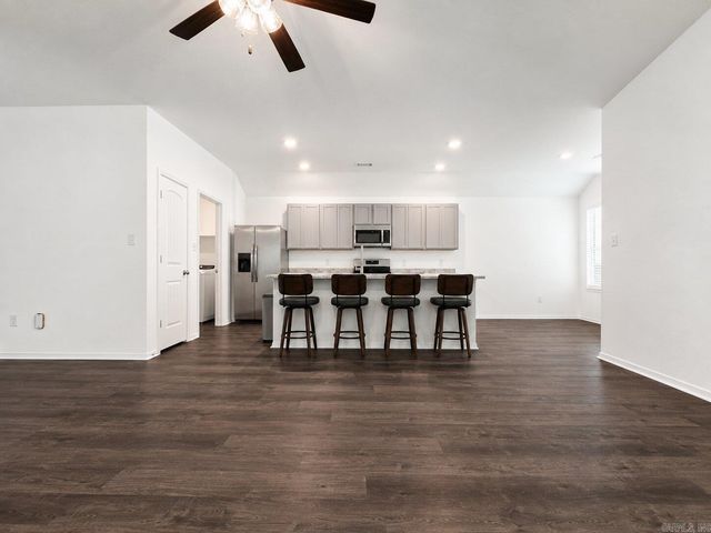 1212 Crotale Street, Conway, AR 72034