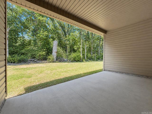 1212 Crotale Street, Conway, AR 72034