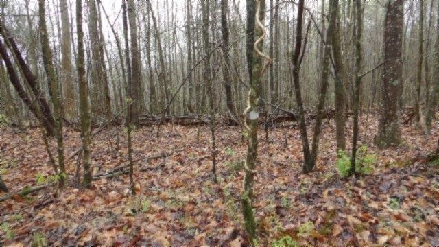 0 Denton Rd, Moss, TN 38575