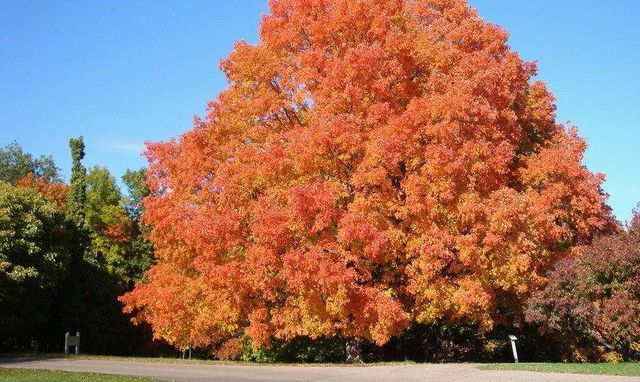 5385 Gestach Lane, Chaska, MN 55318