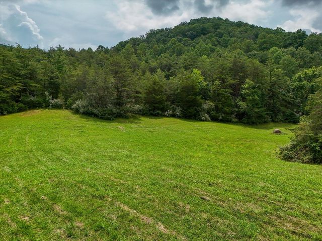 8580 Blacksburg RD, Catawba, VA 24070