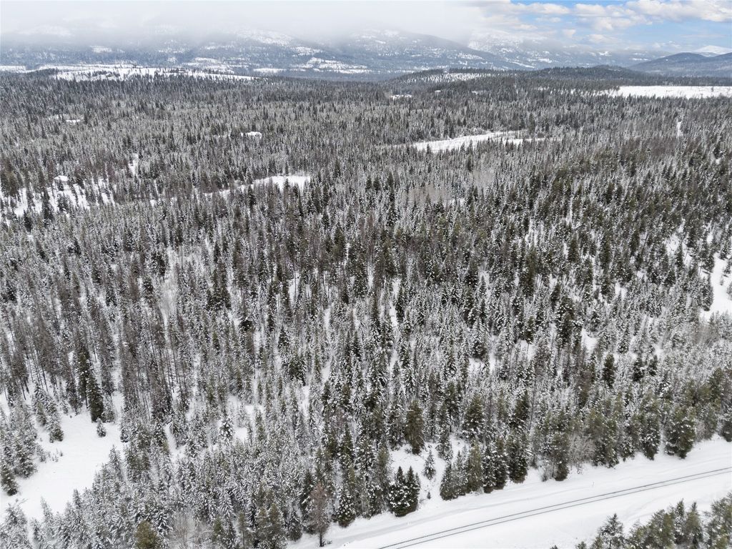 309 Lupfer Road, Whitefish, MT 59937 photo 49