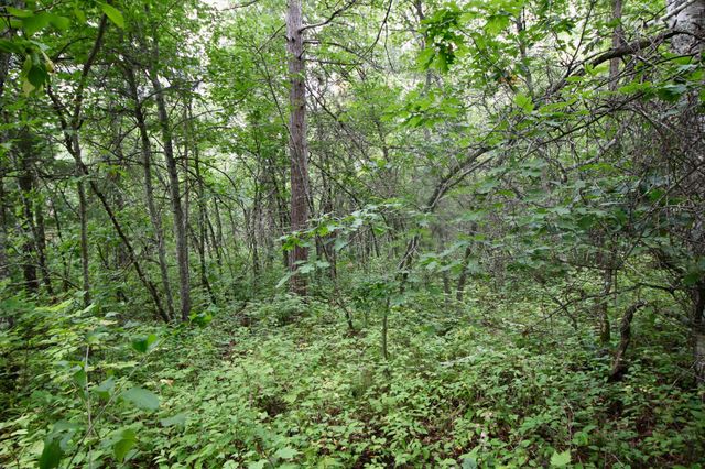 TBD Gravdahl Drive, Pequot Lakes, MN 56472