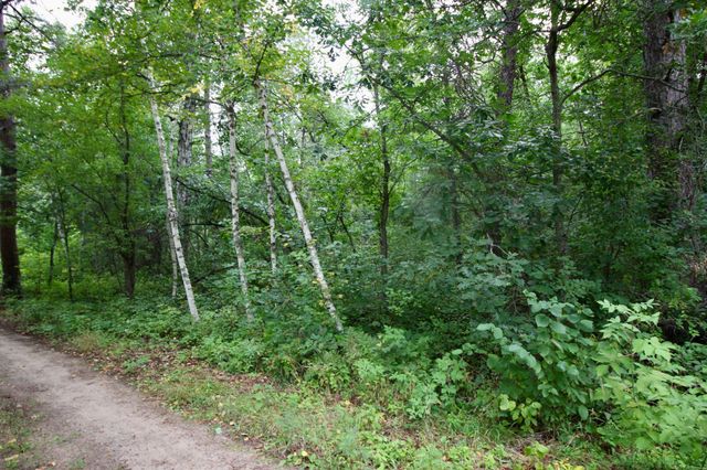 TBD Gravdahl Drive, Pequot Lakes, MN 56472