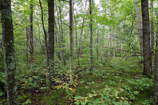 TBD Gravdahl Drive, Pequot Lakes, MN 56472