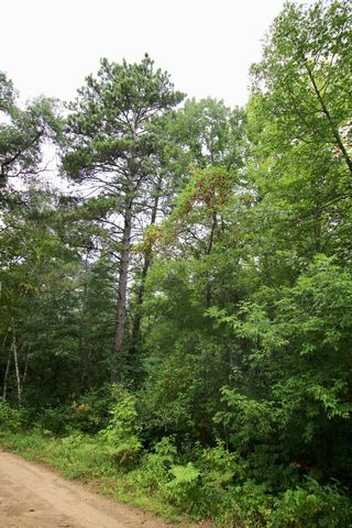 TBD Gravdahl Drive, Pequot Lakes, MN 56472