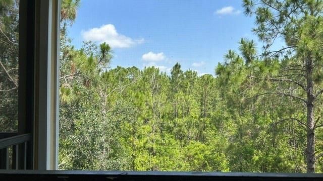 3060 PIRATES RETREAT COURT 407, Kissimmee, FL 34747