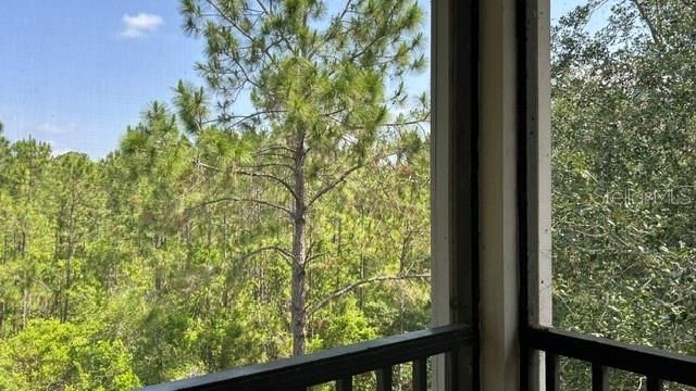 3060 PIRATES RETREAT COURT 407, Kissimmee, FL 34747