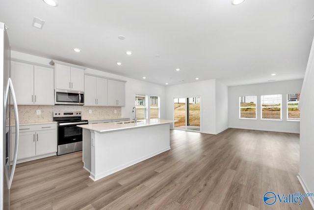 29225 Otley Court, Harvest, AL 35749