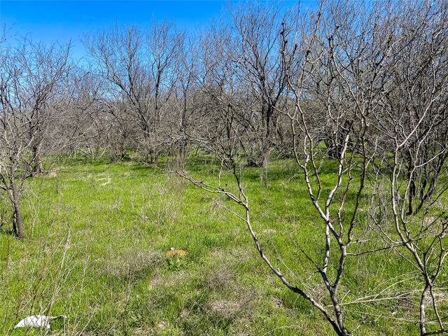 1700 Don Lee Road, Joshua, TX 76058