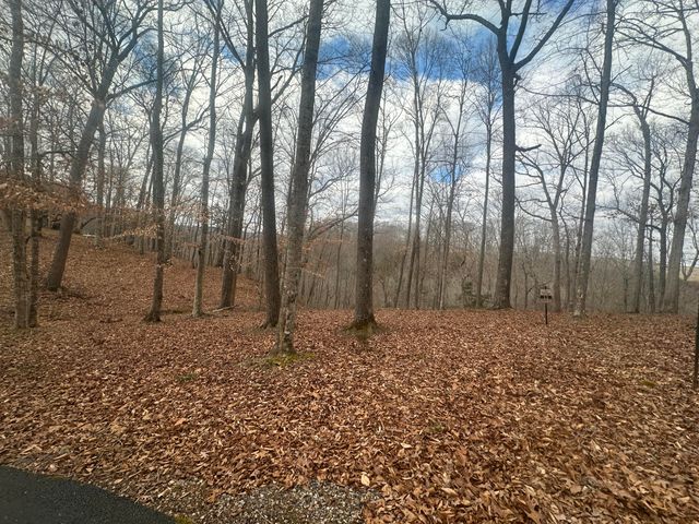 Lot 12 The Village at laurelwood, Nancy, KY 42544