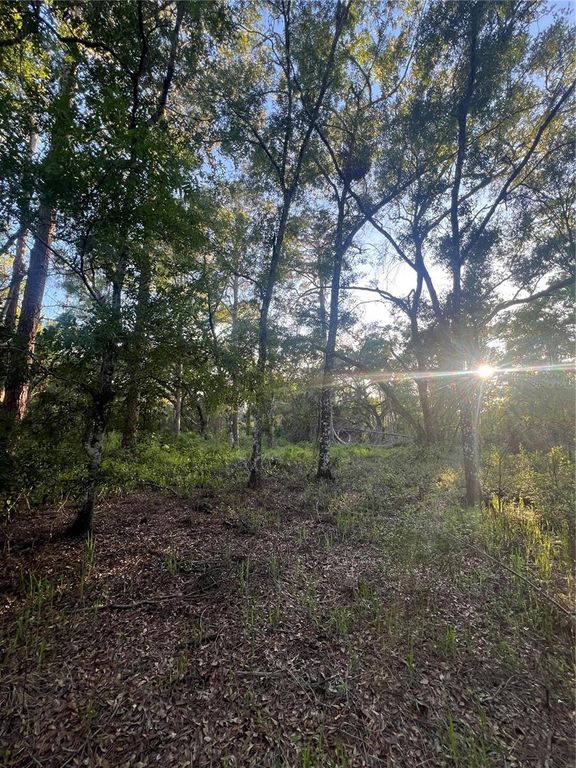 PINON DRIVE, Webster, FL 33597