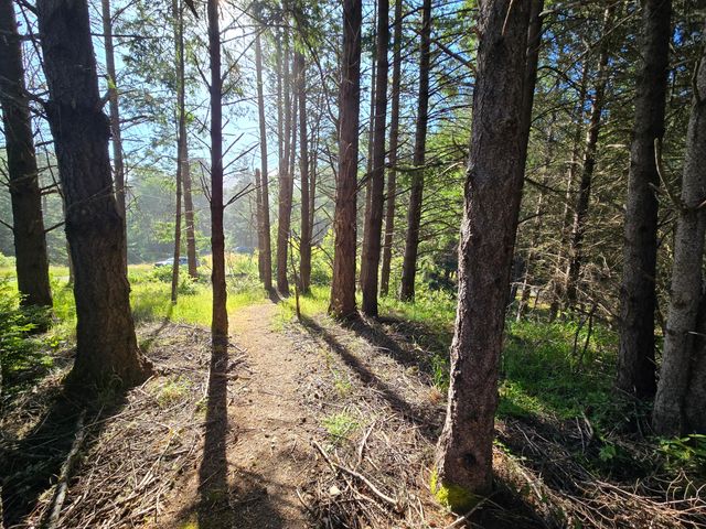 489 & 508 Humboldt Loop Road, Shelter Cove, CA 95589