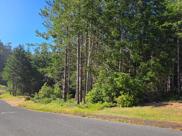 489 & 508 Humboldt Loop Road, Shelter Cove, CA 95589