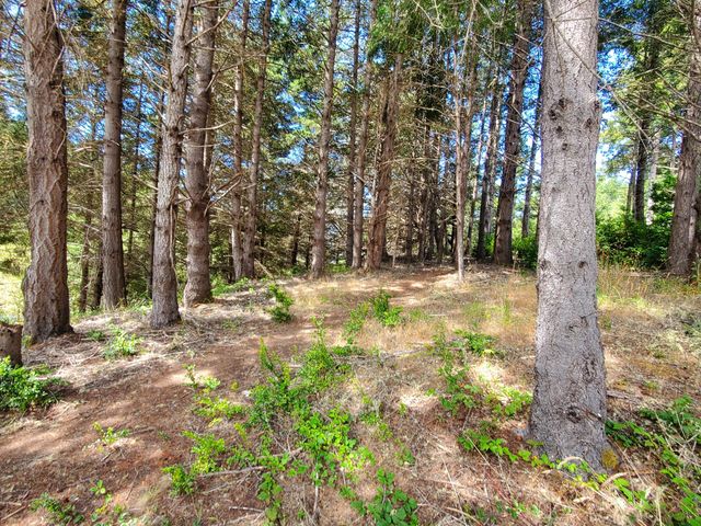 489 & 508 Humboldt Loop Road, Shelter Cove, CA 95589