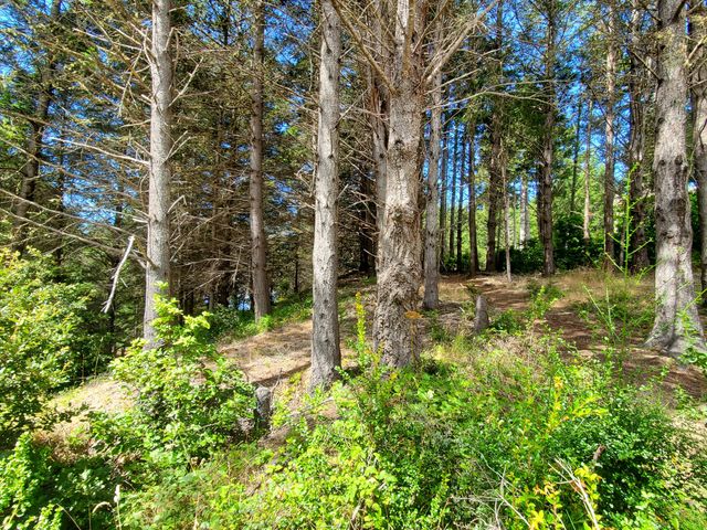 489 & 508 Humboldt Loop Road, Shelter Cove, CA 95589