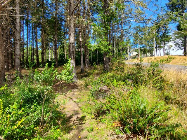 489 & 508 Humboldt Loop Road, Shelter Cove, CA 95589